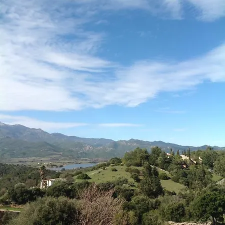 Alba Oletta (Corsica)