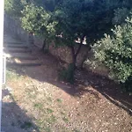 Alba *