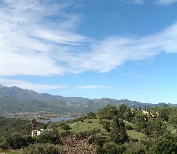 Alba Oletta (Corsica)